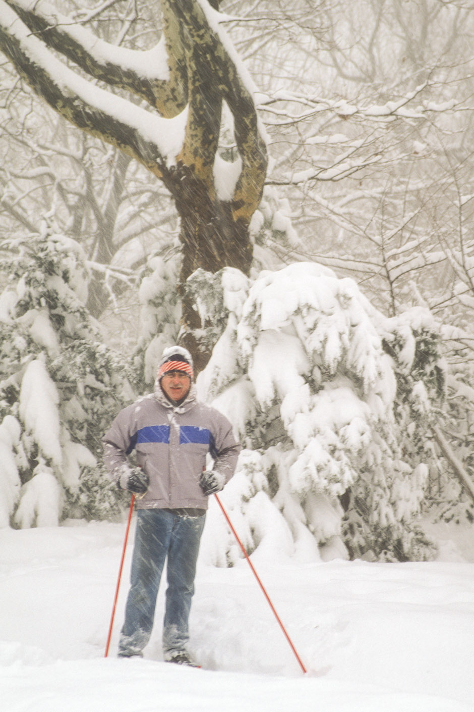 NYC Blizzard of 2000 –