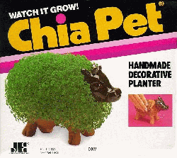 Picture of the front of a Chia Cow box