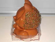 Right side view of Chia Pet after 8 days