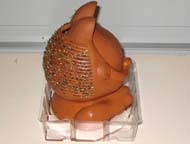 Left side view of Chia Pet after 8 days