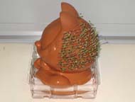 Right side view of Chia Pet after 9 days