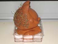 Left side view of Chia Pet after 9 days