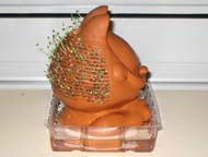 Left side view of Chia Pet after 10 days