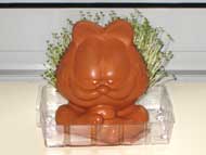 Front view of Chia Pet after 15 days