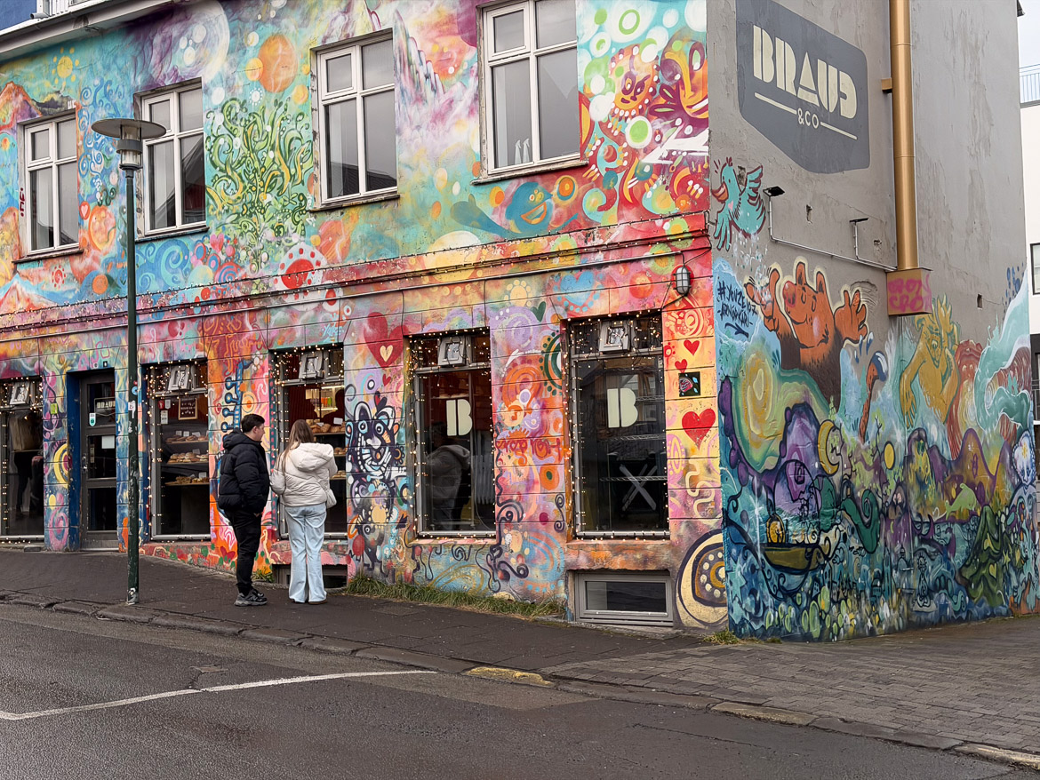Building in Reykjavik
